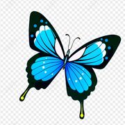 Yr 10 French 🫶🏼