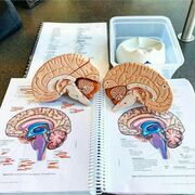 Neurología