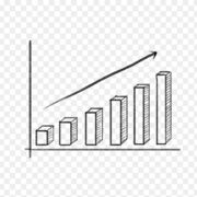 Modélisation en biologie