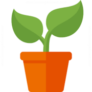 Biology A Level Content