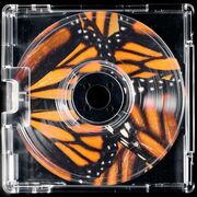 Sociology: Theory and Methods