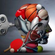 Mr nicholson pe a level