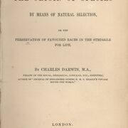 Filosofia Della Biologia