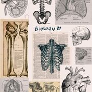 Biology