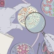 Microbiologie