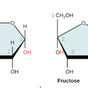 Biology