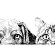 Canine / feline