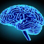 Apprendre à apprendre