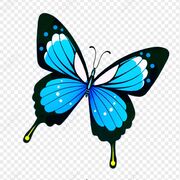 Year 10 English 🫶🏼