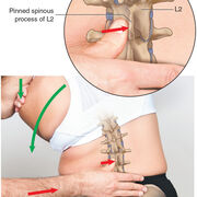 Motion Palpation Terminology