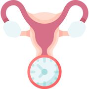Ginecologia e obstetrícia +