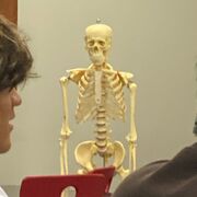 Advanced Biology