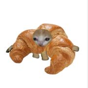 French Theme 1
