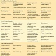 ANATOMY AND PHYSIOLOGY