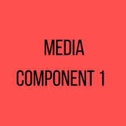 Media Component 1