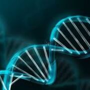 biofisica