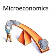 Microeconomics skeddadle