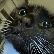 Biology