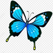 Year 10 Biology 🫶🏼