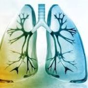 Anatomy and Physiology