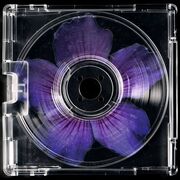 Sociology: Families & Households