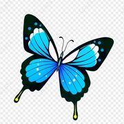 Year 10 H.E. 🫶🏼