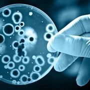microbio