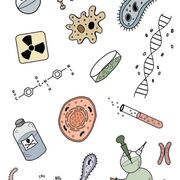 bio 24