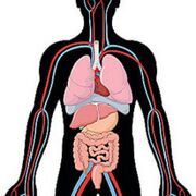 Pathophysiology 1
