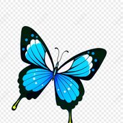 Year 10 Religious Studies - Learn For Yr 11