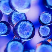 Biologie Cellulaire