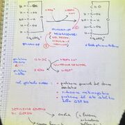 BIOCHIMICA