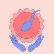 Obstetricia