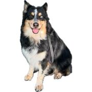 Spring 2025  AP, Corn, Farm