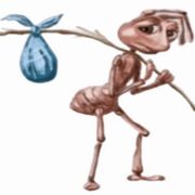 2024-2025
