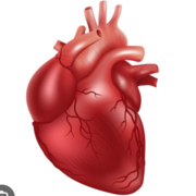 **Cardiaque I