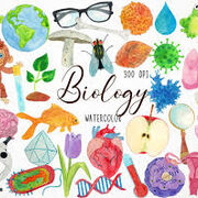 🧬 Biology 🧬