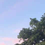 History📜⌛🏛️🏺