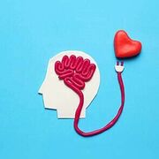 PSYCH2151: Health Psychology
