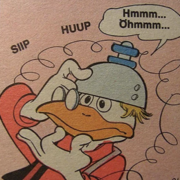 IAAP Certification Study Cards