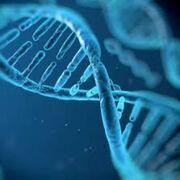 Biology 1