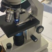 Science