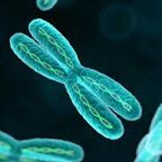 Genetics and the African Diaspora