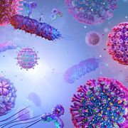 Geography Paper 3 Diseases