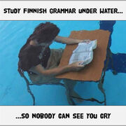 FINNISH🇫🇮