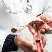 Ginecologia e obstetrícia