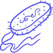 Microbio 1 - Bacteriology