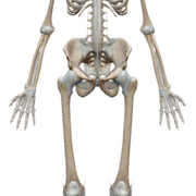 Medical Science