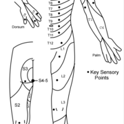 "REHABILITACION GENERAL"