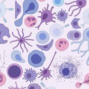 Immunologie